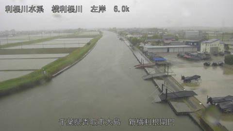 yoko2026042709_image