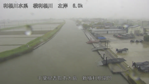 yoko2026042710_image