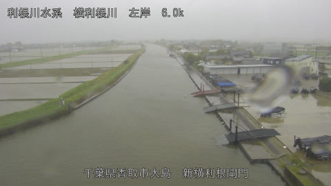 yoko2026042711_image