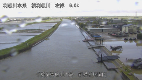 yoko2026042712_image