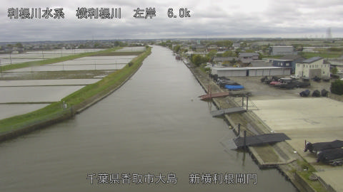 yoko2026042713_image