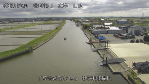 yoko2026042714_image