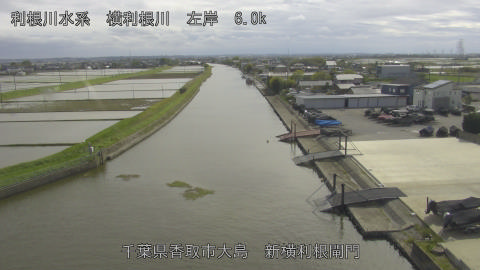 yoko2026042715_image