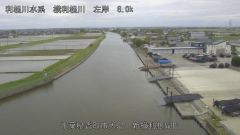 yoko2026042716_image