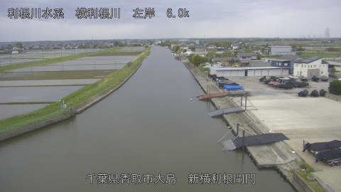 yoko2026042717_image