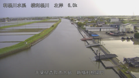 yoko2026042718_image