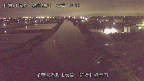 yoko2026042720_image