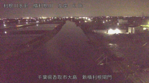 yoko2026042721_image