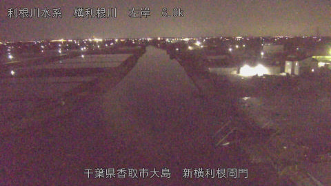 yoko2026042722_image