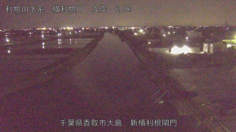 yoko2026042723_image