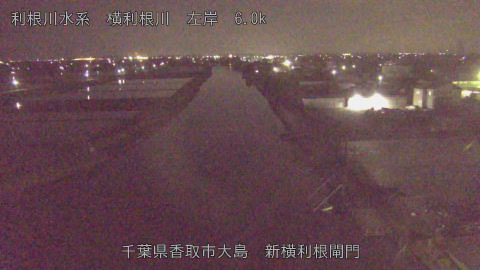 yoko2026042800_image