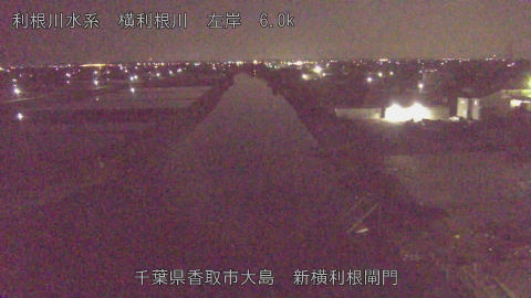 yoko2026042801_image