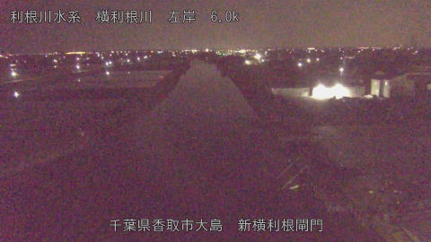 yoko2026042802_image