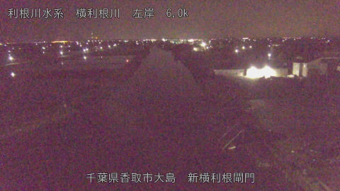 yoko2026042803_image