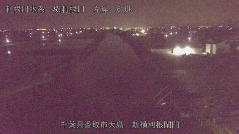 yoko2026042804_image