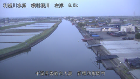 yoko2026042805_image