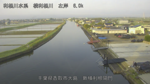 yoko2026042806_image