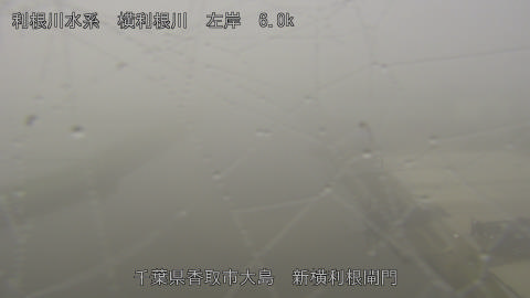 yoko2026042807_image