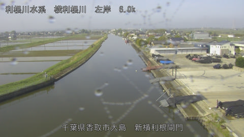 yoko2026042808_image