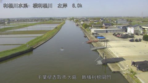 yoko2026042809_image