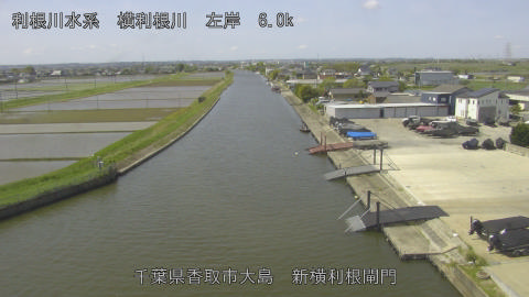 yoko2026042810_image