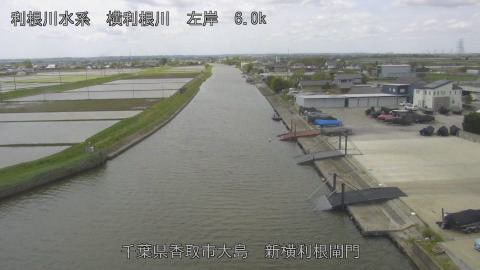 yoko2026042811_image