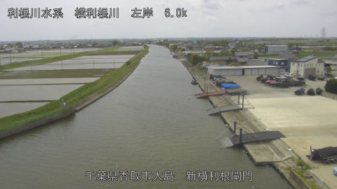 yoko2026042812_image