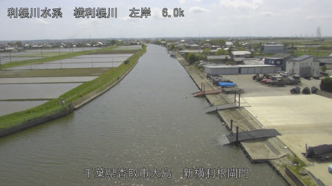 yoko2026042813_image