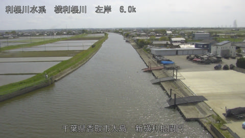 yoko2026042814_image