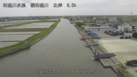 yoko2026042815_image