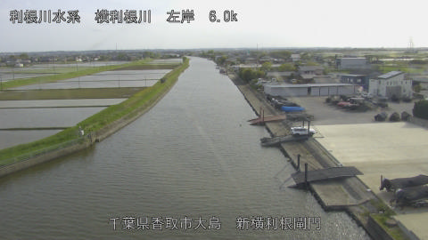 yoko2026042816_image