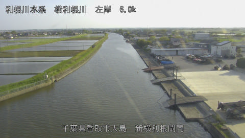 yoko2026042817_image