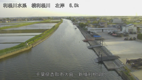 yoko2026042818_image