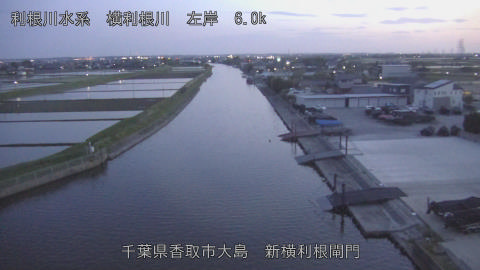 yoko2026042819_image