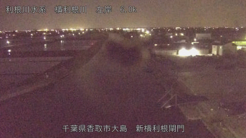 yoko2026042820_image