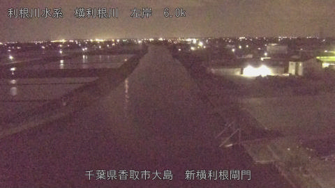 yoko2026042821_image