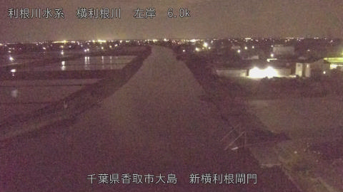 yoko2026042822_image