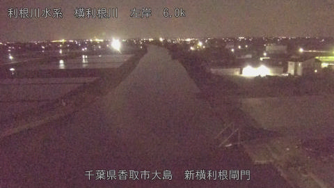 yoko2026042823_image