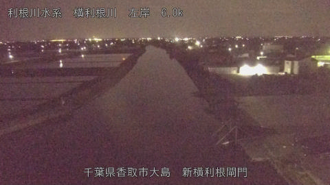 yoko2026042900_image