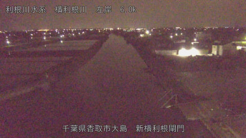 yoko2026042901_image