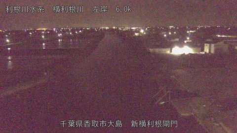 yoko2026042902_image