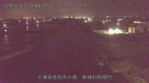 yoko2026042903_image