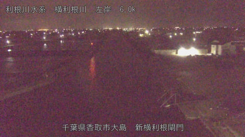 yoko2026042904_image