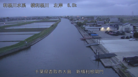 yoko2026042905_image