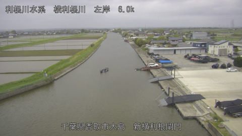 yoko2026042906_image