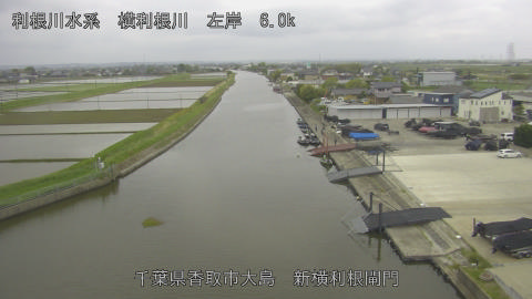 yoko2026042907_image