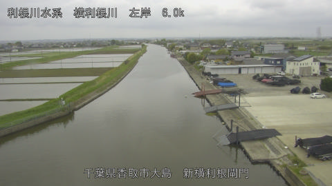 yoko2026042908_image