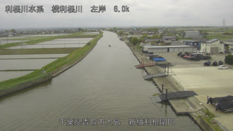 yoko2026042909_image