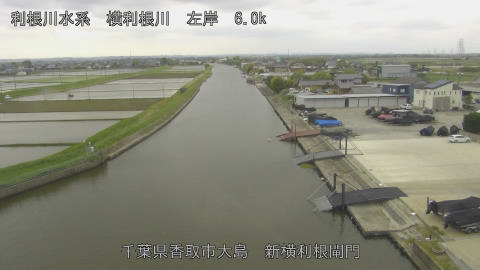 yoko2026042910_image