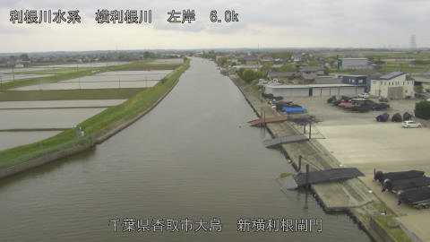 yoko2026042911_image